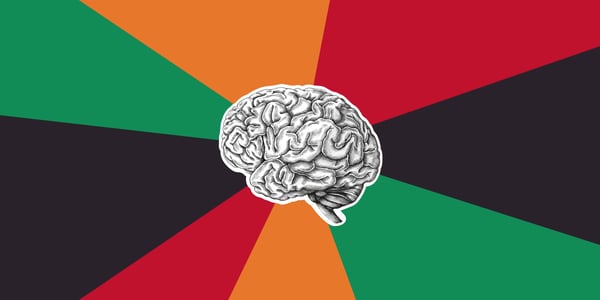South African flag with a brain