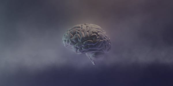 Brain fog can be caused by a variety of different things. Image shows a blurred out brain with fog or smoke surrounding it