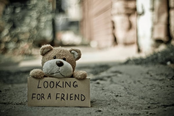 A teddybear on a street holding a cardboard sign that reads: Looking for a friend. 