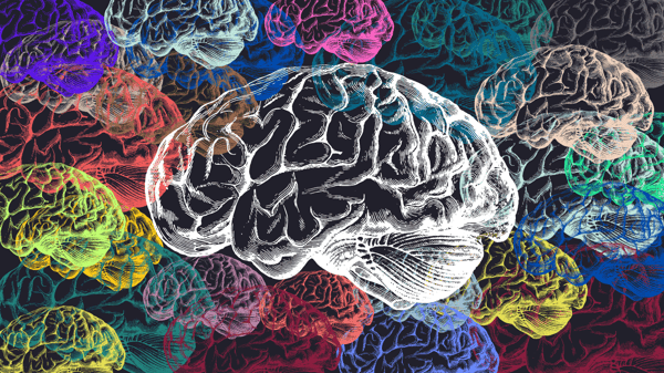 Colorful drawings of brains with a dark background.