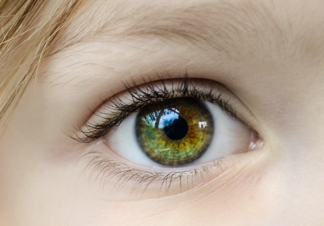 a close up image of a child's green eye