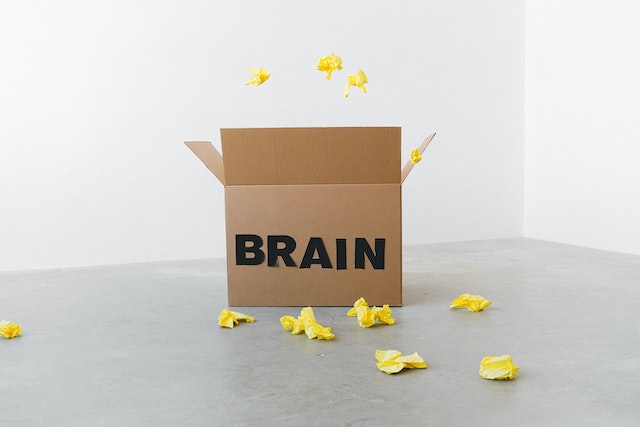 a box labeled "brain" with crumpled papers around it