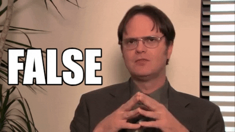 The Office Dwight Schrute GIF: false