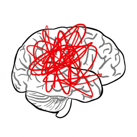GIF. A line drawing of a brain wit random colored scribbles chaotically going everywhere.