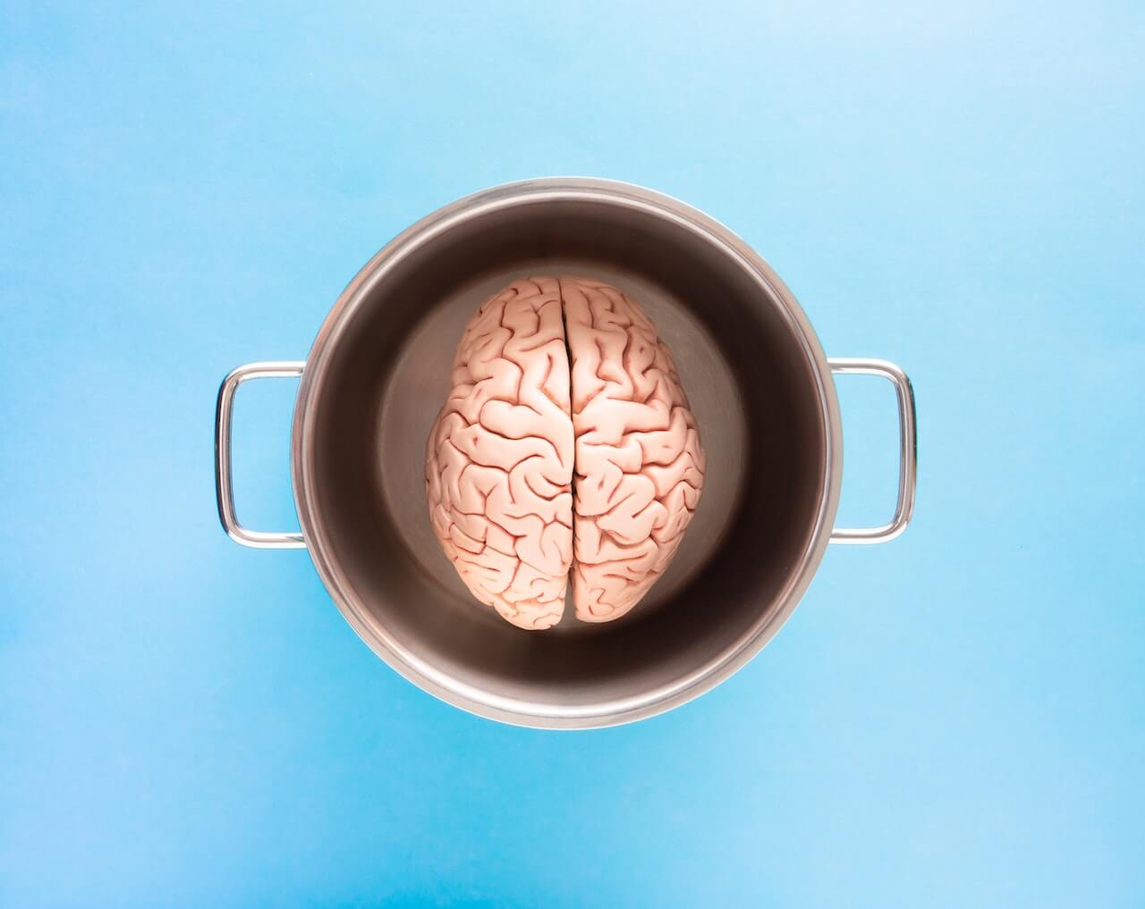 A pink anatomical model of a brain inside a silver pot on a blue background.