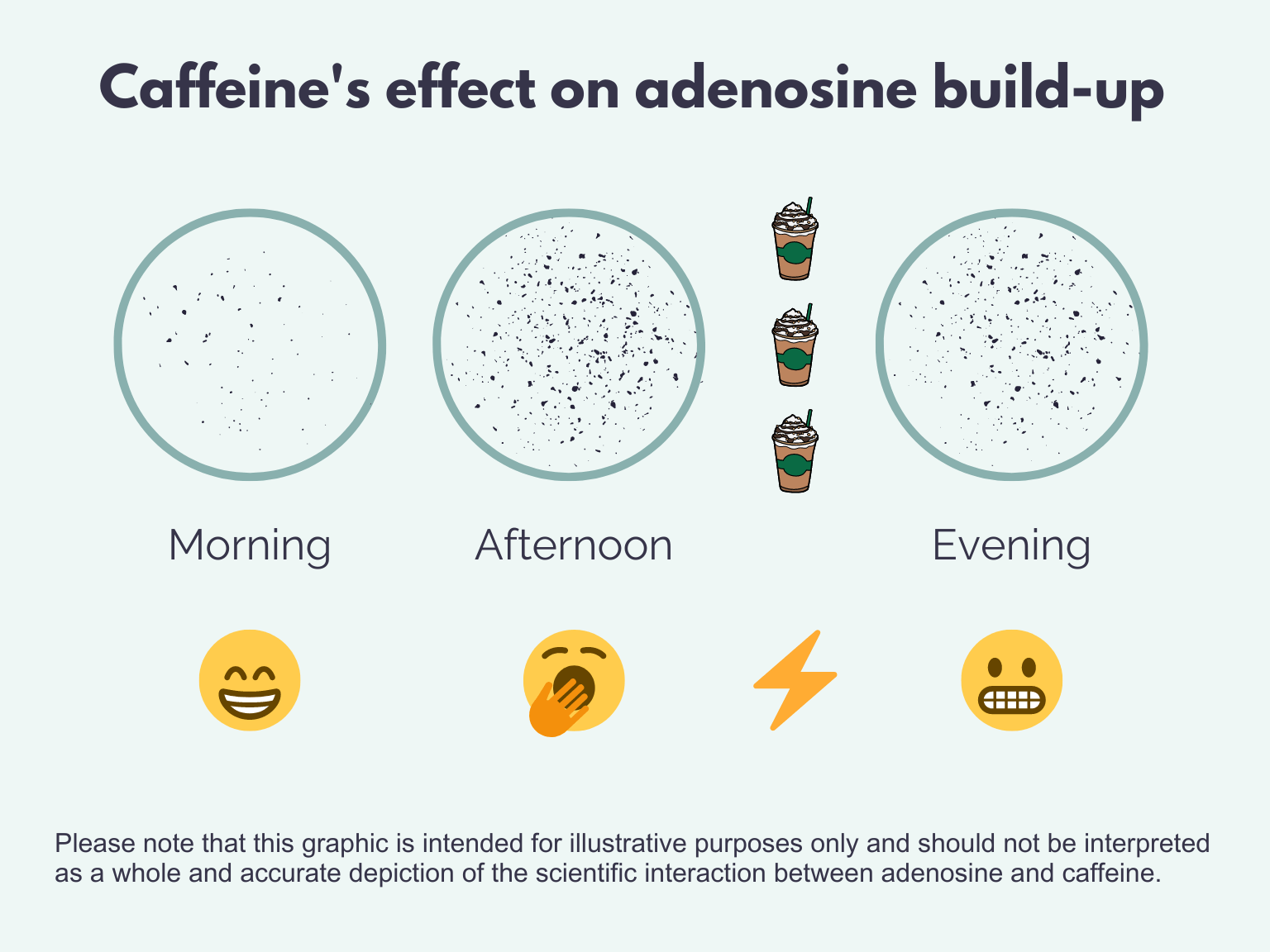 Title: caffeine's effect on adenosine build-up. Morning shows light specks with a smiling face. afternoon shows more and a tired emoji. next is three cups of coffee and a lightning bolt emoji. last is evening with about the same amount of specks as the afternoon with an awake and grimacing emoji. Note at the bottom: Please note that this graphic is intended for illustrative purposes only and should not be interpreted as a whole and accurate depiction of the scientific interaction between adenosine and caffeine.