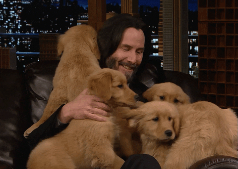 keanu reeves and puppies