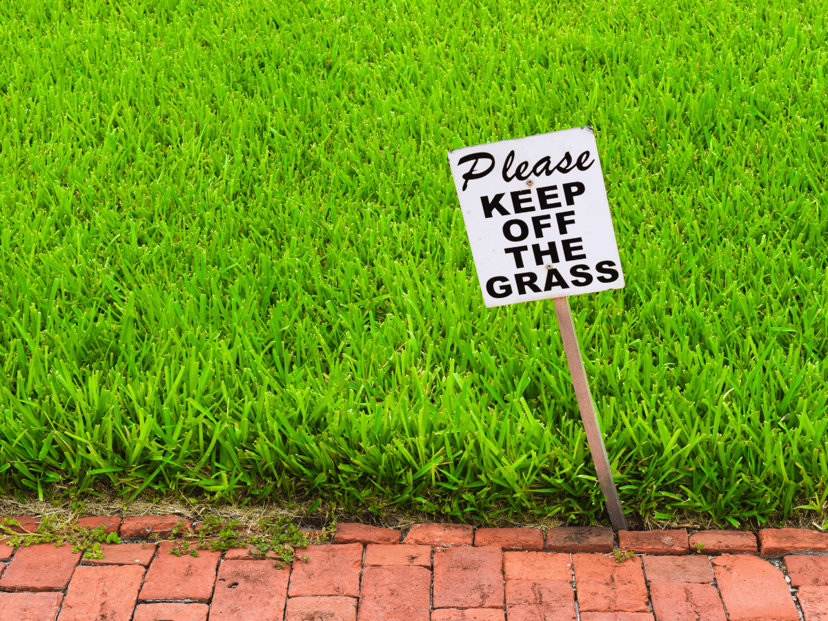 A crooked sign in front of a bright green lawn. It reads "Please keep off the grass".