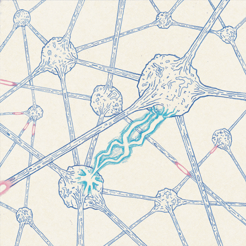 Neurotransmitter animation between brain cells